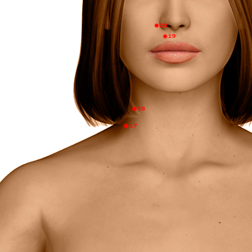 LI17 Acupuncture Point - Large Intestine Meridian Meridian - Celestial Tripod - Dermal view