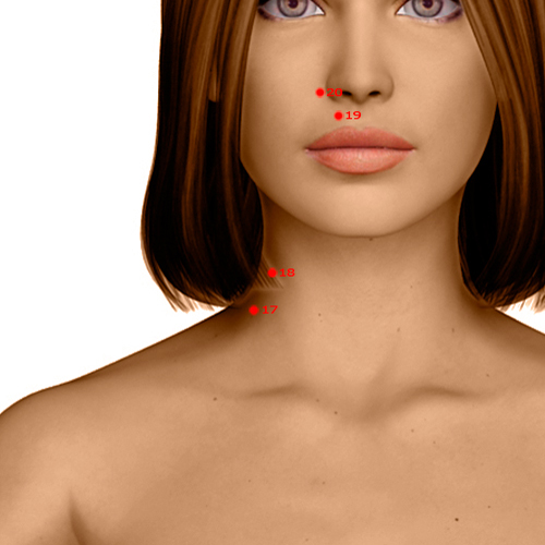 LI18 Acupuncture Point - Large Intestine Meridian Meridian - Beside The Prominence - Dermal view