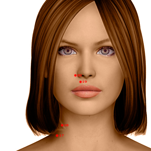 LI20 Acupuncture Point - Large Intestine Meridian Meridian - Receiving Fragrance - Dermal view