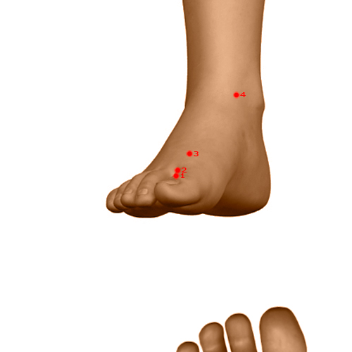 LV01 Acupuncture Point - Liver Meridian Meridian - Big Mound - Dermal view