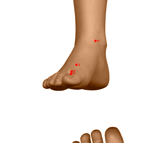 LV02 Acupuncture Point - Liver Meridian Meridian - Passing Between - Dermal view