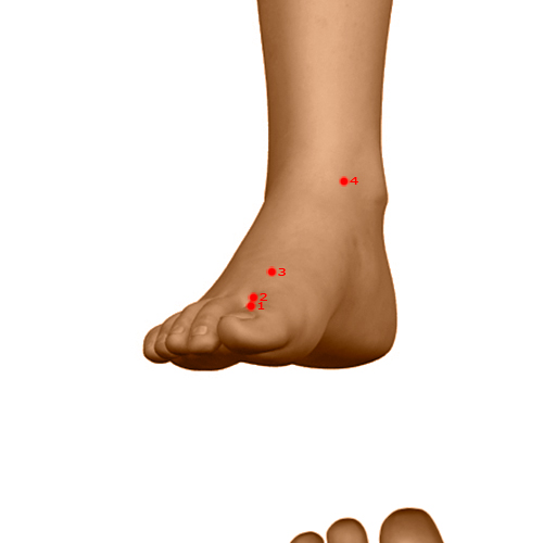 LV03 Acupuncture Point - Liver Meridian Meridian - Great Surge - Dermal view
