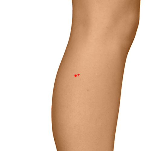 LV07 Acupuncture Point - Liver Meridian Meridian - Knee Joint - Dermal view
