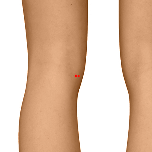 LV08 Acupuncture Point - Liver Meridian Meridian - Spring At The Bend - Dermal view