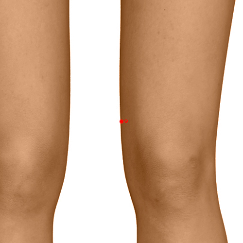 LV09 Acupuncture Point - Liver Meridian Meridian - Yin Wrapping - Dermal view