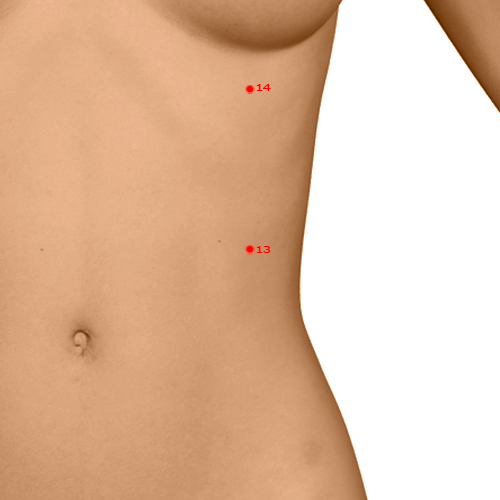LV13 Acupuncture Point - Liver Meridian Meridian - Bright Gate - Dermal view