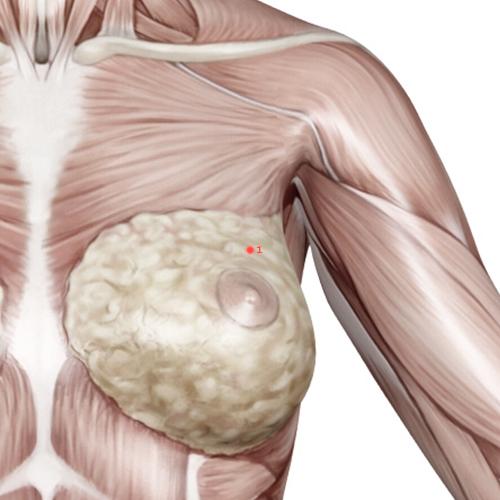 PC01 Acupuncture Point - Pericardium Meridian Meridian - Heavenly Pool - Muscular view