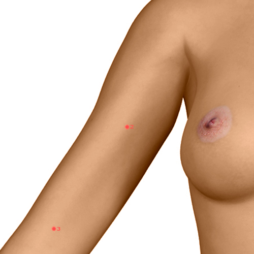 PC02 Acupuncture Point - Pericardium Meridian Meridian - Celestial Spring - Dermal view