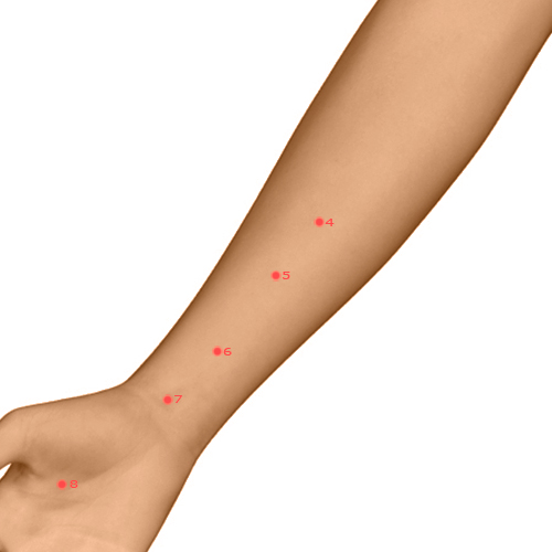 PC05 Acupuncture Point - Pericardium Meridian Meridian - Intermediary Messenger - Dermal view