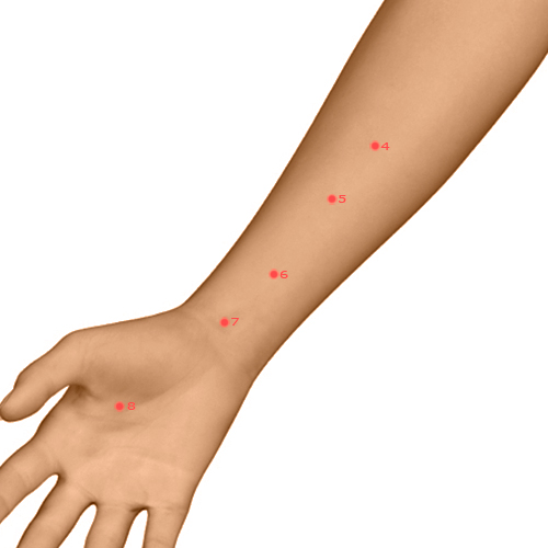 PC06 Acupuncture Point - Pericardium Meridian Meridian - Inner Gate - Dermal view