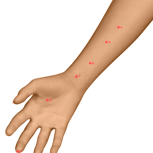 PC07 Acupuncture Point - Pericardium Meridian Meridian - Great Mound - Dermal view