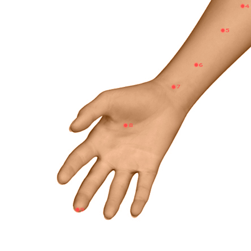 PC08 Acupuncture Point - Pericardium Meridian Meridian - Palace Of Toil - Dermal view