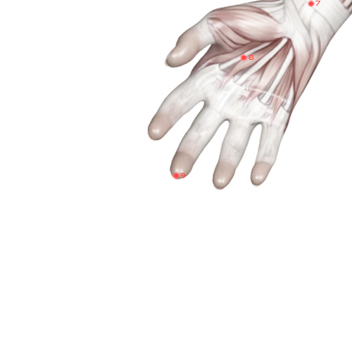 PC09 Acupuncture Point - Pericardium Meridian Meridian - Central Surge - Muscular view