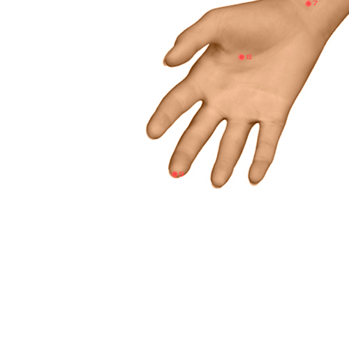 PC09 Acupuncture Point - Pericardium Meridian Meridian - Central Surge - Dermal view