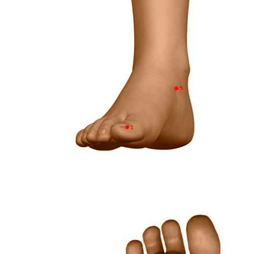 SP01 Acupuncture Point - Spleen Meridian Meridian - Hidden White - Dermal view