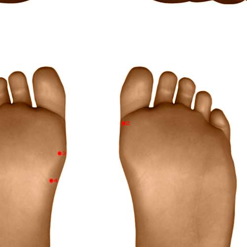 SP02 Acupuncture Point - Spleen Meridian Meridian - Great Capital - Dermal view