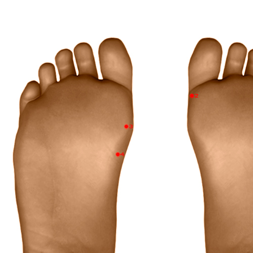SP03 Acupuncture Point - Spleen Meridian Meridian - Great White - Dermal view