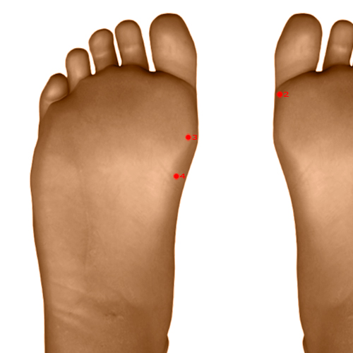 SP04 Acupuncture Point - Spleen Meridian Meridian - Grandfather Grandson - Dermal view