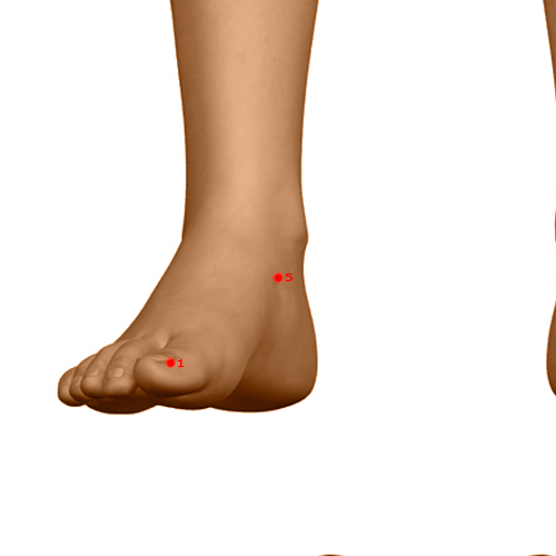SP05 Acupuncture Point - Spleen Meridian Meridian - Metal Hill - Dermal view