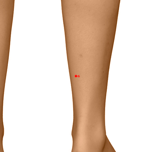 SP06 Acupuncture Point - Spleen Meridian Meridian - Three Yin Intersection - Dermal view