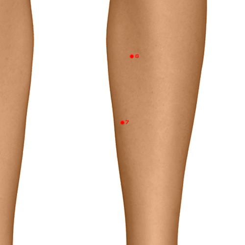 SP07 Acupuncture Point - Spleen Meridian Meridian - Leaking Valley - Dermal view