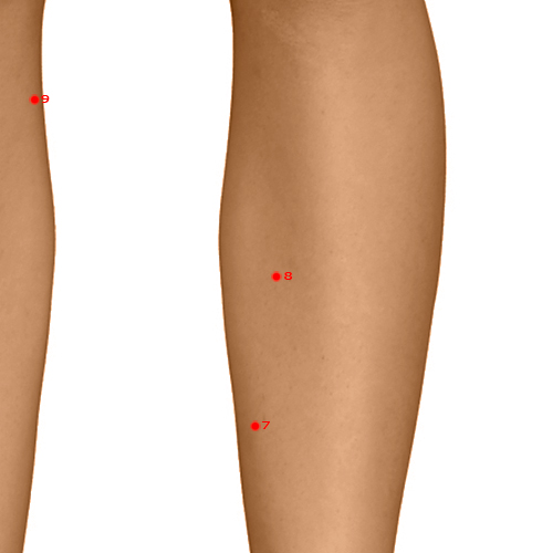 SP08 Acupuncture Point - Spleen Meridian Meridian - Earth'S Cure - Dermal view