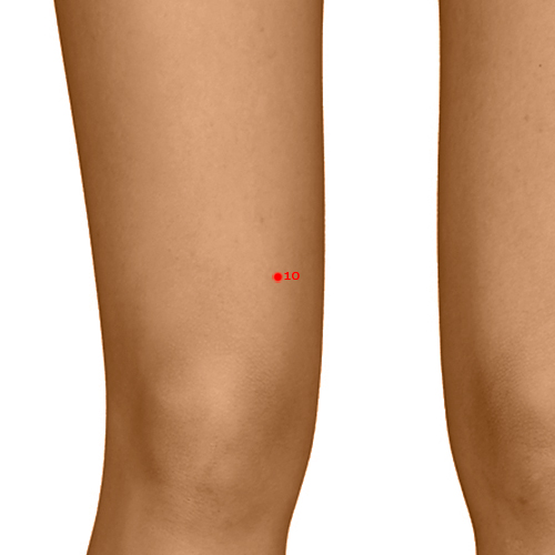 SP10 Acupuncture Point - Spleen Meridian Meridian - Sea Of Blood - Dermal view