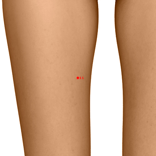 SP11 Acupuncture Point - Spleen Meridian Meridian - Winnower Gate - Dermal view
