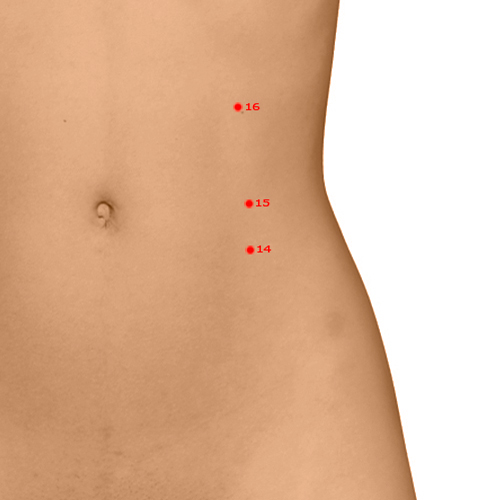 SP14 Acupuncture Point - Spleen Meridian Meridian - Abdominal Bind - Dermal view