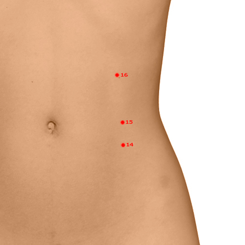 SP15 Acupuncture Point - Spleen Meridian Meridian - Great Horizontal - Dermal view