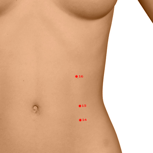 SP16 Acupuncture Point - Spleen Meridian Meridian - Abdominal Lament - Dermal view