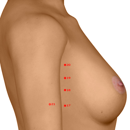 SP20 Acupuncture Point - Spleen Meridian Meridian - Complete Nourishment - Dermal view