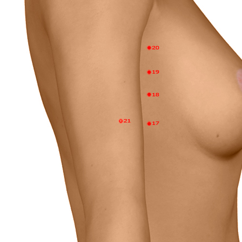 SP21 Acupuncture Point - Spleen Meridian Meridian - Great Embrace - Dermal view