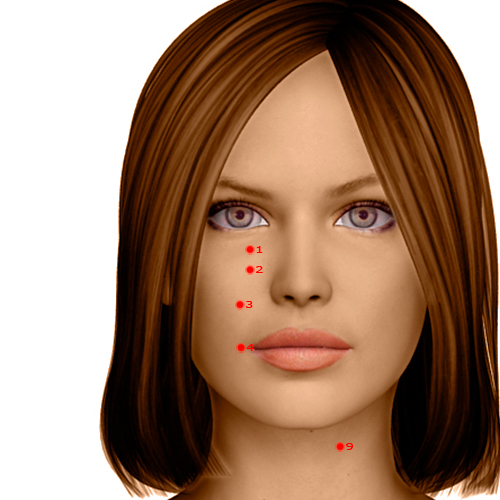 ST01 Acupuncture Point - Stomach Meridian Meridian - Tear Container - Dermal view