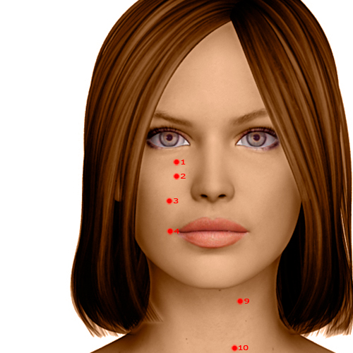 ST02 Acupuncture Point - Stomach Meridian Meridian - Four Direction Brightness - Dermal view