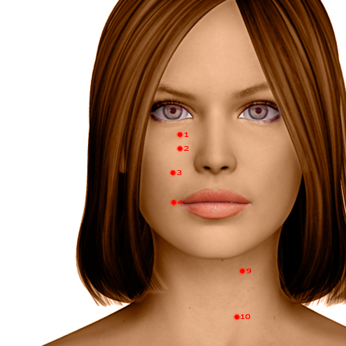 ST03 Acupuncture Point - Stomach Meridian Meridian - Great Bone Hole - Dermal view
