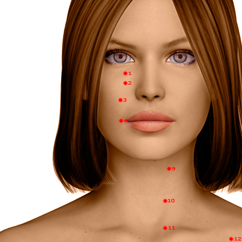 ST04 Acupuncture Point - Stomach Meridian Meridian - Earth Granary - Dermal view