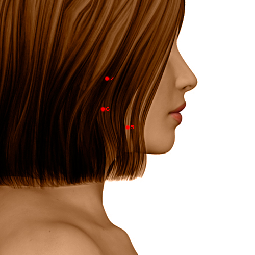 ST05 Acupuncture Point - Stomach Meridian Meridian - Great Reception - Dermal view