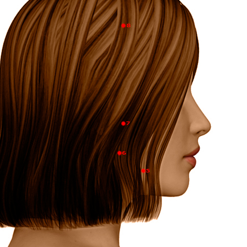ST07 Acupuncture Point - Stomach Meridian Meridian - Below The Arch - Dermal view