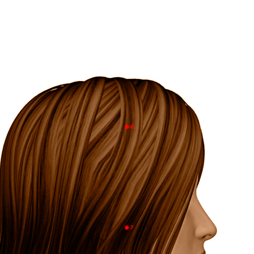 ST08 Acupuncture Point - Stomach Meridian Meridian - Head Corner - Dermal view