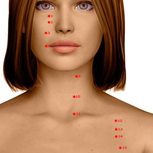 ST09 Acupuncture Point - Stomach Meridian Meridian - Man's Prognosis - Dermal view
