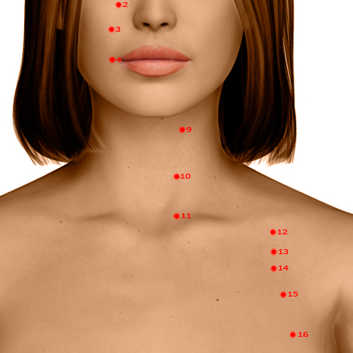 ST10 Acupuncture Point - Stomach Meridian Meridian - Liquid Passage - Dermal view