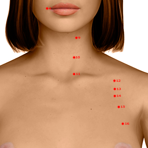 ST11 Acupuncture Point - Stomach Meridian Meridian - Abode Of Qi - Dermal view