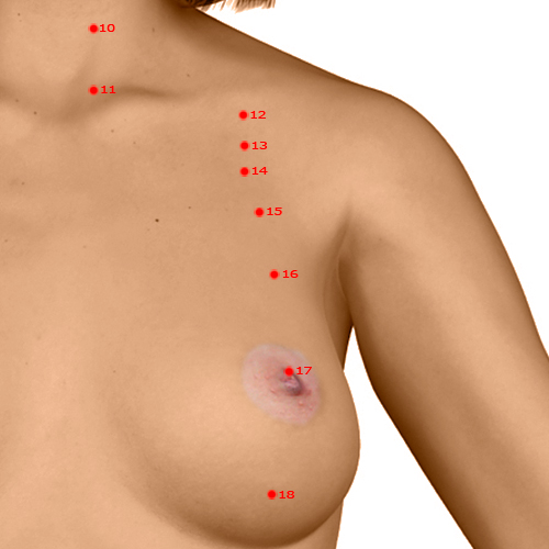 ST16 Acupuncture Point - Stomach Meridian Meridian - Breast Window - Dermal view