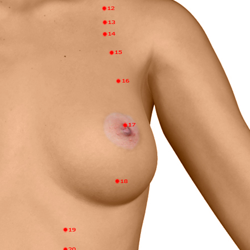 ST17 Acupuncture Point - Stomach Meridian Meridian - Breast Centre - Dermal view