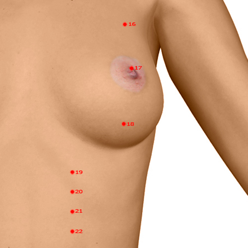 ST18 Acupuncture Point - Stomach Meridian Meridian - Breast Root - Dermal view