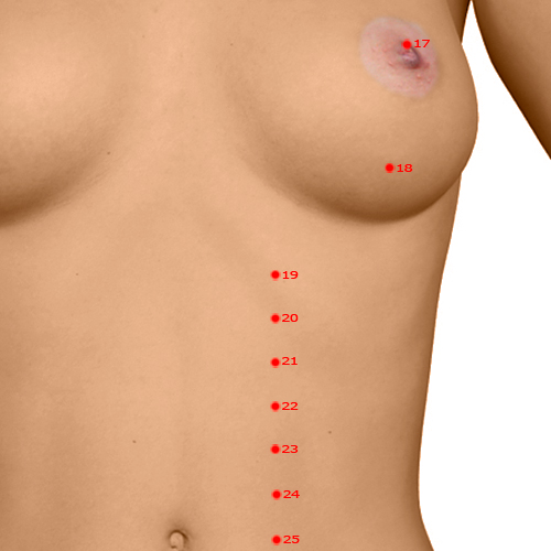 ST19 Acupuncture Point - Stomach Meridian Meridian - Not Contained - Dermal view