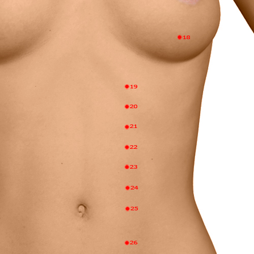 ST21 Acupuncture Point - Stomach Meridian Meridian - Ridge Gate - Dermal view