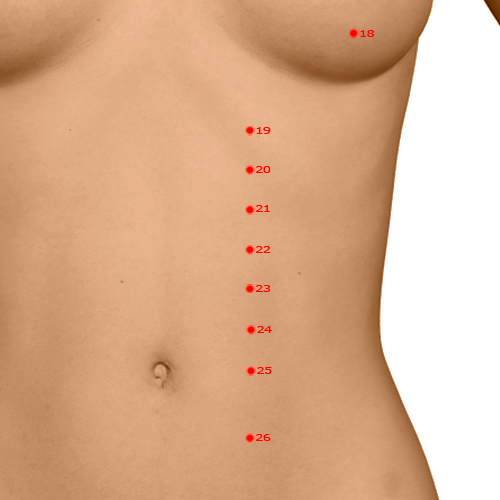 ST22 Acupuncture Point - Stomach Meridian Meridian - Shutting The Gate - Dermal view