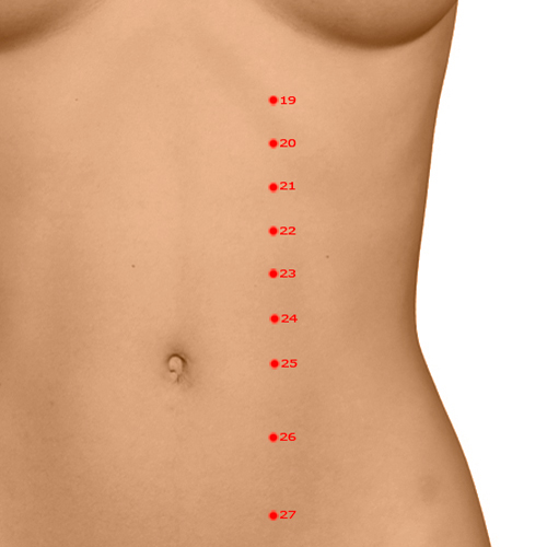 ST23 Acupuncture Point - Stomach Meridian Meridian - Great Unity - Dermal view